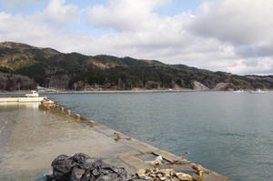 koamikurahama 096koamikurahama.jpg